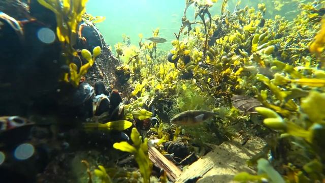 Павел Глазков, Санкт-Петебург смотреть онлайн