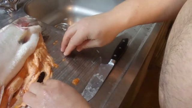 Солим РЫБУ и ИКРУ, #ГалкинTV смотреть онлайн