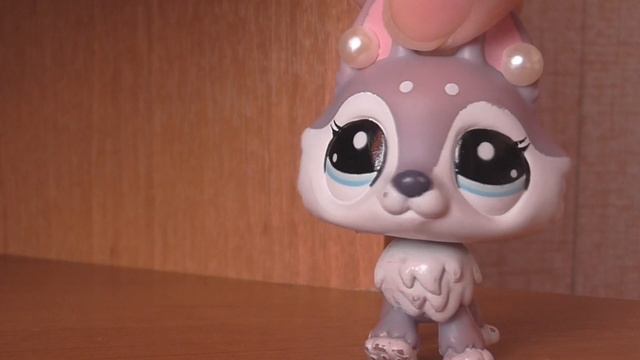 LPS:♥Что я использую для видео?♥ смотреть онлайн