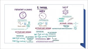 Вирусные гепатиты