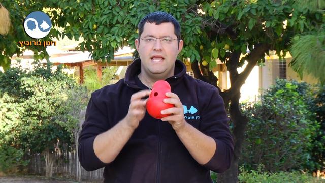 אילוף כלבים קונג וובלר Kong Wobbler смотреть онлайн