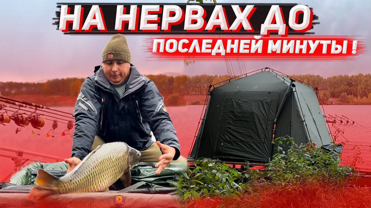 ВАЛИДОЛЬНЫЙ КАРПФИШИНГ ОСЕНЬЮ. Турнир, в котором ВСЕ решила одна рыба. смотреть онлайн