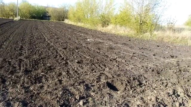 Посеял бурак и тыкву смотреть онлайн