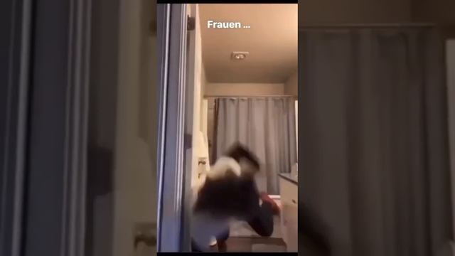 Женщины – это случайно выжившие девочки!
#девушки #удача #fail #неповезло #выживание #жизнь #неудача смотреть онлайн