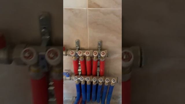 IMG 5646 смотреть онлайн