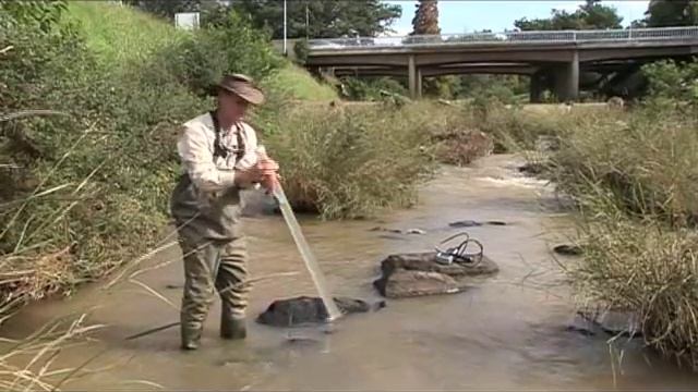 SASS5 aquatic biomonitoring techniques смотреть онлайн