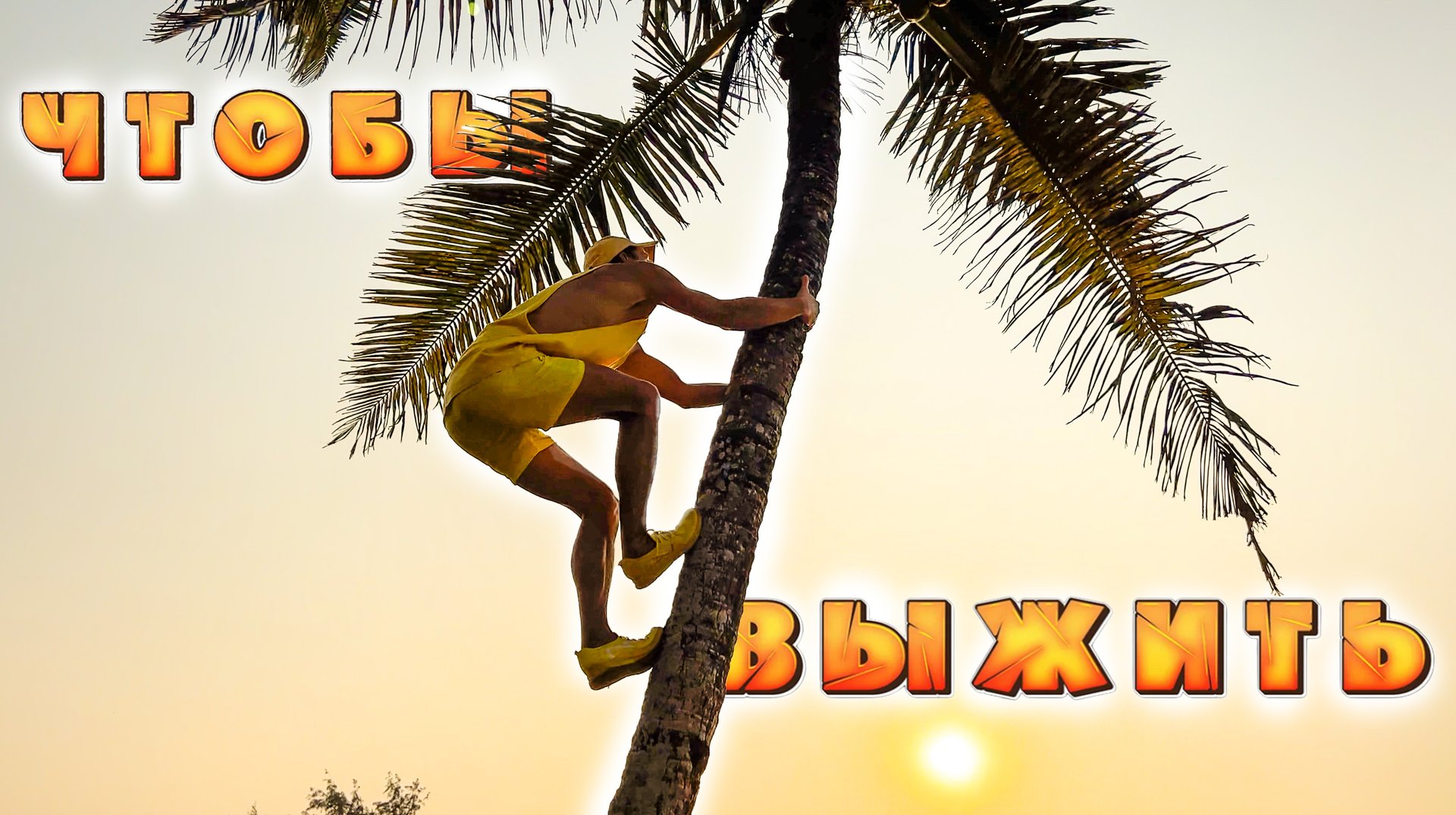 Залез на пальму за кокосом. Как открыть кокос голыми руками? смотреть онлайн