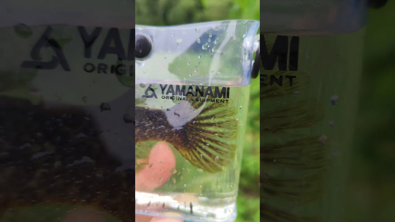 31 июля 2024 г. смотреть онлайн