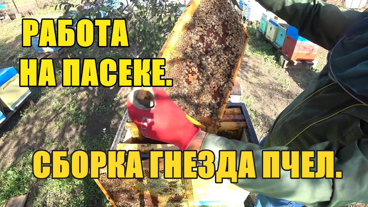 РАБОТА НА ПАСЕКЕ, СБОРКА ГНЕЗДА ПЧЕЛ. смотреть онлайн
