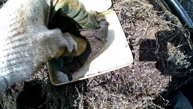 НАХОДКА МЕЧТА! РАДОВАЛСЯ КАК РЕБЁНОК!!! смотреть онлайн