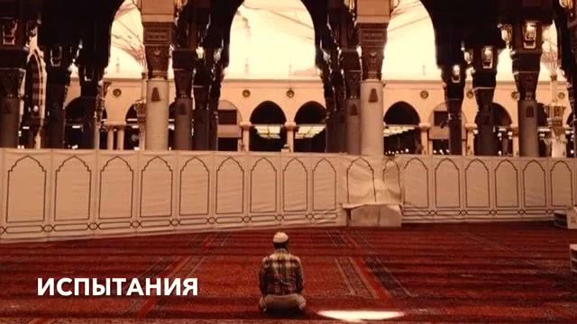 Нарир абу Халид.Испытания Аллаха смотреть онлайн