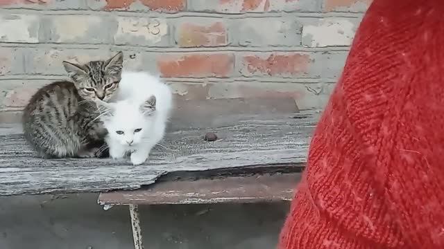 И за посылкой сходили, и что связала покажу. Архив от 21.07.2022г. смотреть онлайн