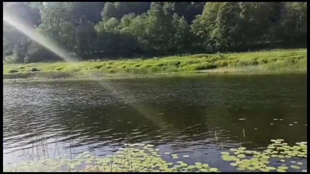 Отдых с палаткой.Национальный парк УГРА. Июнь 2023 года. смотреть онлайн