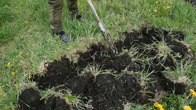 Как правильно копать огород лопатой. Получаем высокий УРОЖАЙ Урожайный огород, урожайная ДАЧА смотреть онлайн