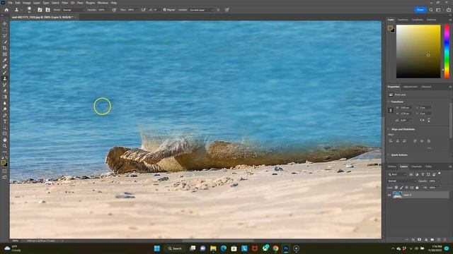 Simple and easy: Clone stamp tool tutorial in Adobe Photoshop CC (2022) смотреть онлайн