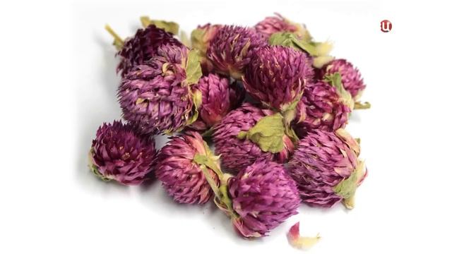 Клевер от холестерина смотреть онлайн