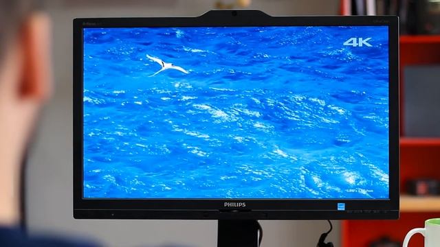 Philips 24", monitor 4K UHD смотреть онлайн