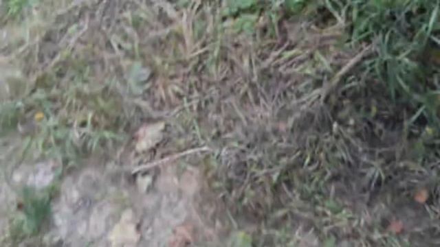 работа мотора м111