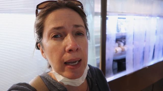 Touring the Statue of Liberty and Ellis Island смотреть онлайн