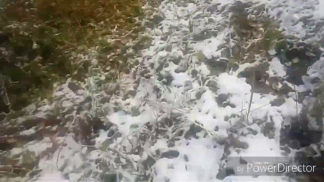 Ориентирование, или как я по лесу шарахался? смотреть онлайн