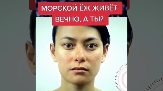 Невероятно Кто долгожитель на нашей Земле Морской еж живет вечно.mp4 смотреть онлайн