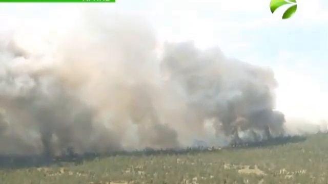 Лесных пожаров на Ямале на сегодняшний день нет смотреть онлайн