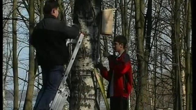 Установка скворечников в городском парке. 03.2007 смотреть онлайн