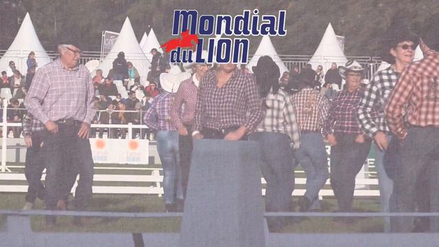 Le Lion D'Angers hi-lights смотреть онлайн