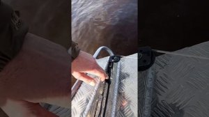 Вятбот 390Р. Обзор доработок.