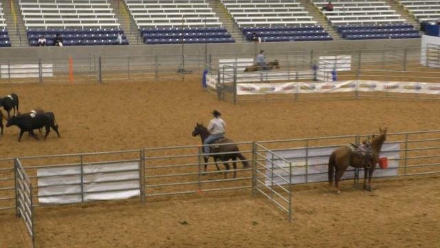 Team Penning - 10HC Set 6 - 2019 USTPA Panhandle Pen & Sort смотреть онлайн