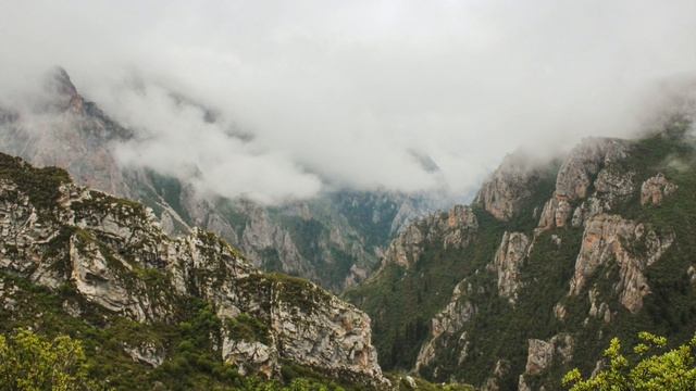 Далай Лама нарушает личные границы? Часть 2 /Наталия Вайксельбаумер смотреть онлайн