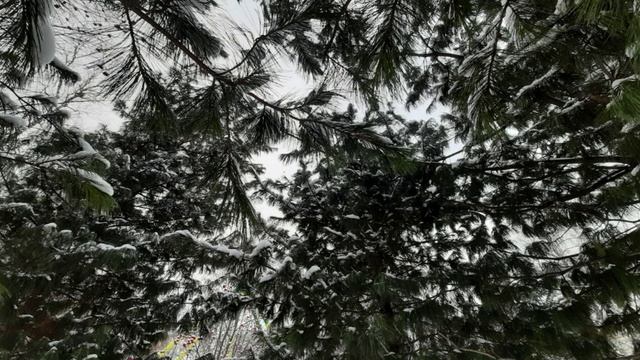 О чем говорит предисловие книги ИСТАТ. смотреть онлайн