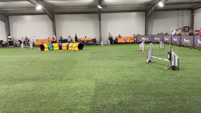 26.06.2022 Чемпионат Москвы Джампинг / Moscow Championship Jumping смотреть онлайн