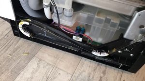 Скрипит дверь посудомоечной машины Hansa ZIM628EH