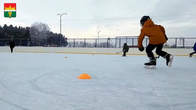 День хоккея