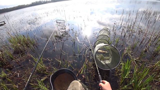 Фидерная Рыбалка на Озере в Мае! Ловля на Фидер Весной 2022! смотреть онлайн