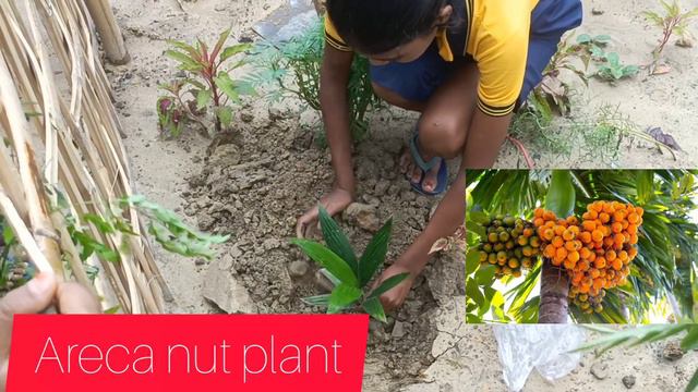 World Environment Day Celebration 2022 || 5 June देखिए मेने केसे बिताया ऊहा पे || All About 24 Gree