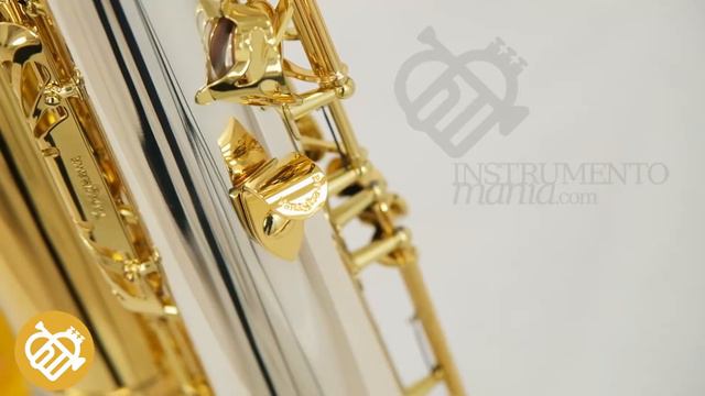 Saxo Barítono Yanagisawa B-9930 смотреть онлайн