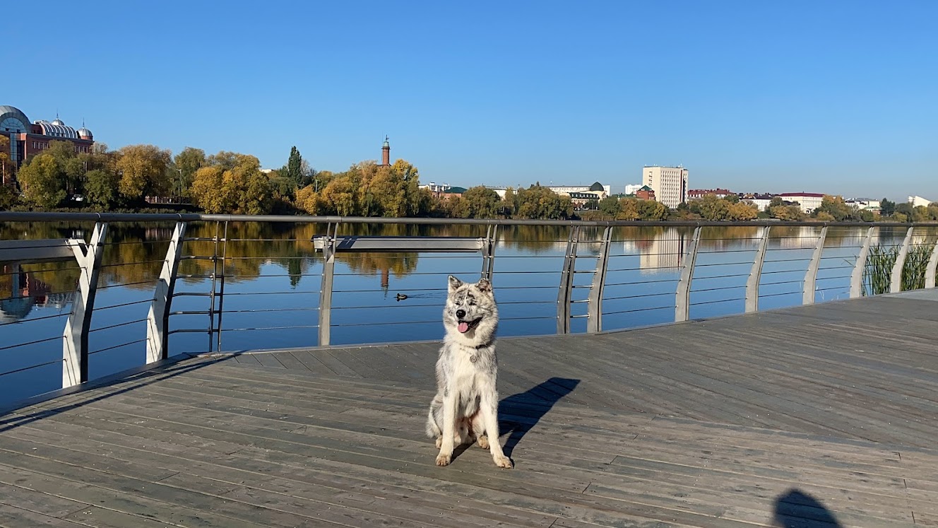 Городская прогулка смотреть онлайн