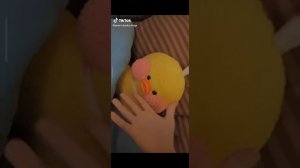 подборки уточек Лала фанфан из tik tok