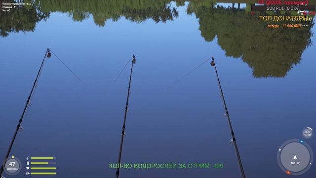 Русская Рыбалка 4. Галопом по болотам! смотреть онлайн