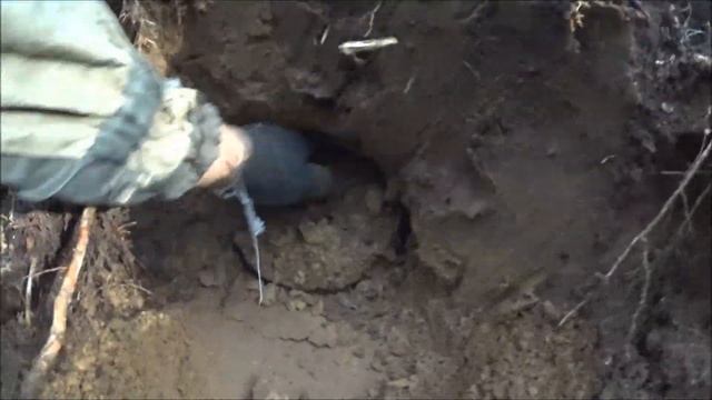 Нашёл части военной техники, 79 смотреть онлайн