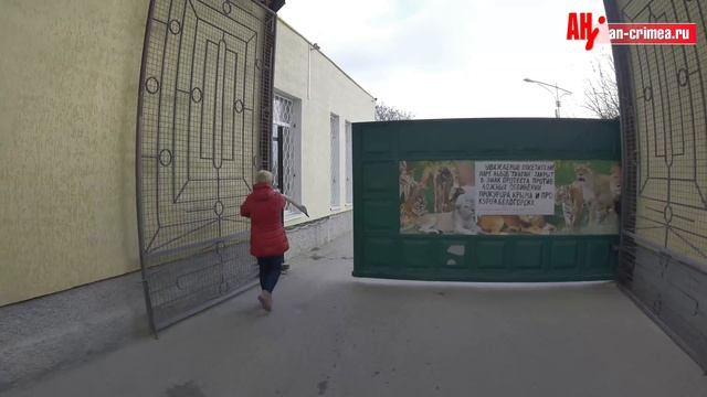 Лебедь смотреть онлайн
