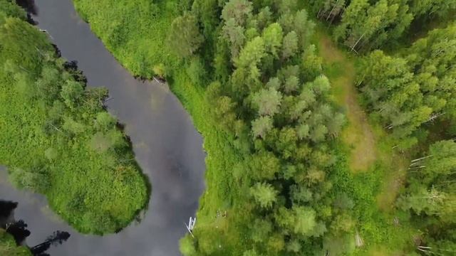 Мехреньга -Емца июль-август 2022 г. смотреть онлайн