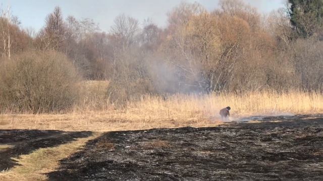 Великолукский район полыхает смотреть онлайн
