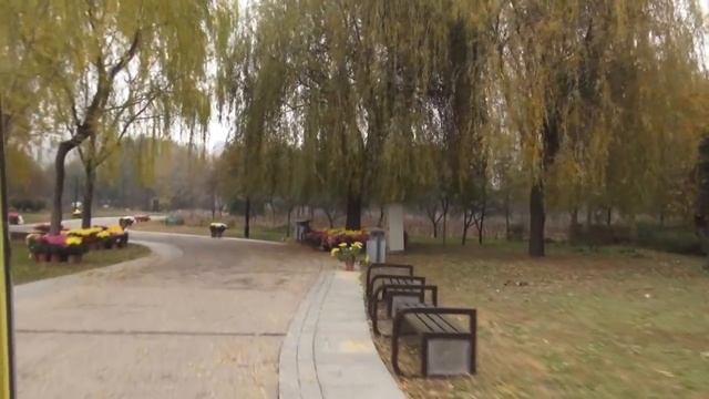 Командировка в Китай смотреть онлайн