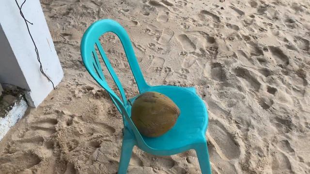 Пробую морепродукты в кафе на океанском побережье