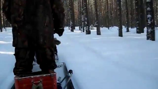 поездка на мотособаке смотреть онлайн