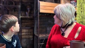 ДОМАШНИЕ ЕНОТЫ (Дом енотов). Как живут, едят и играют еноты.